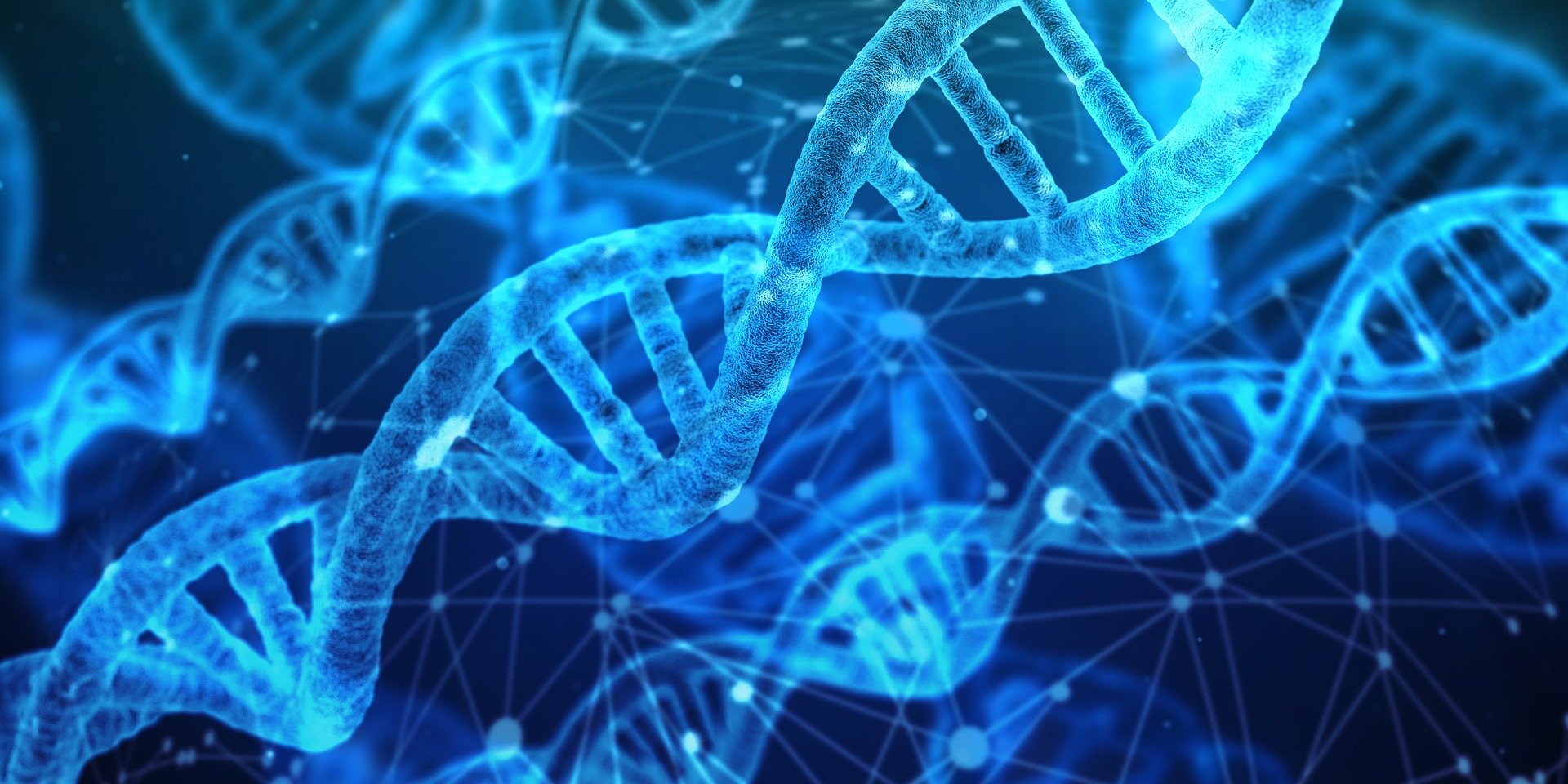 dna-3539309_1920-6